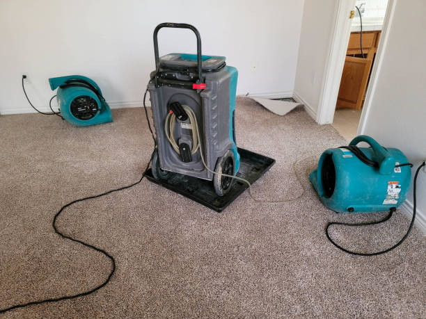 Best Water damage repair service  in Kahaluu, HI