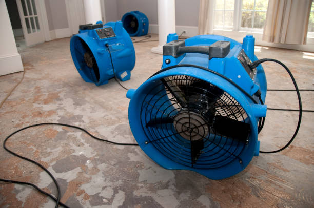 Best Ceiling water damage repair  in Kahaluu, HI