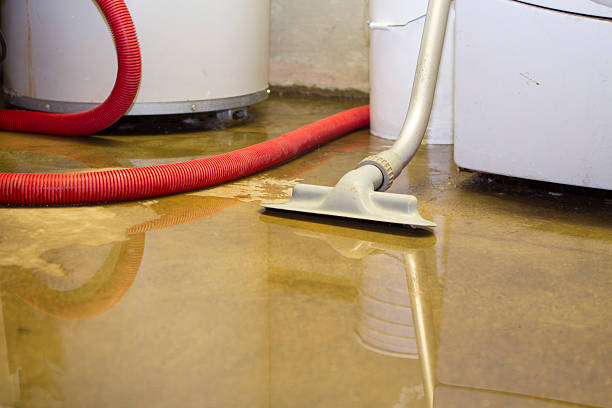 Best Water damage restoration insurance claims  in Kahaluu, HI