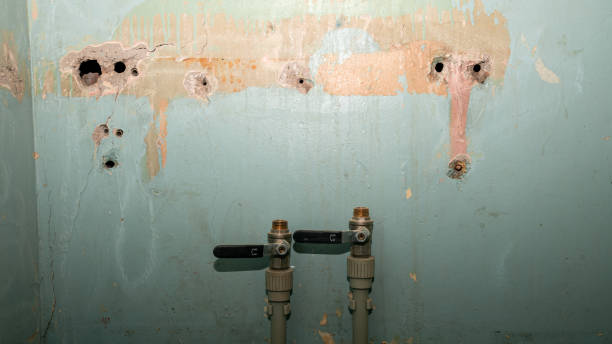 Best Emergency water damage restoration  in Kahaluu, HI
