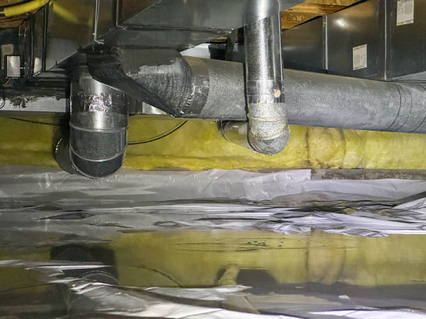 Best Water damage contractors near me  in Kahaluu, HI