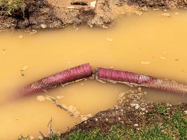 Water damage restoration insurance claims in Kahaluu, HI