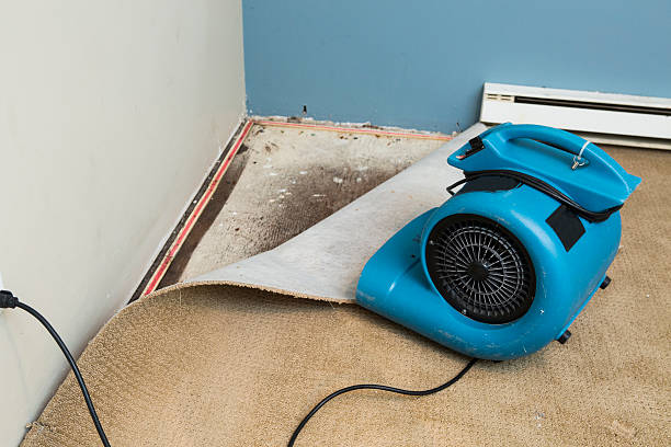 Best Residential water damage restoration  in Kahaluu, HI